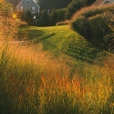 carney-golf-green