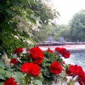 pools-ponds-fountains-12