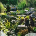 pools-ponds-fountains--6