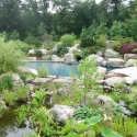 pools-ponds-fountains--7